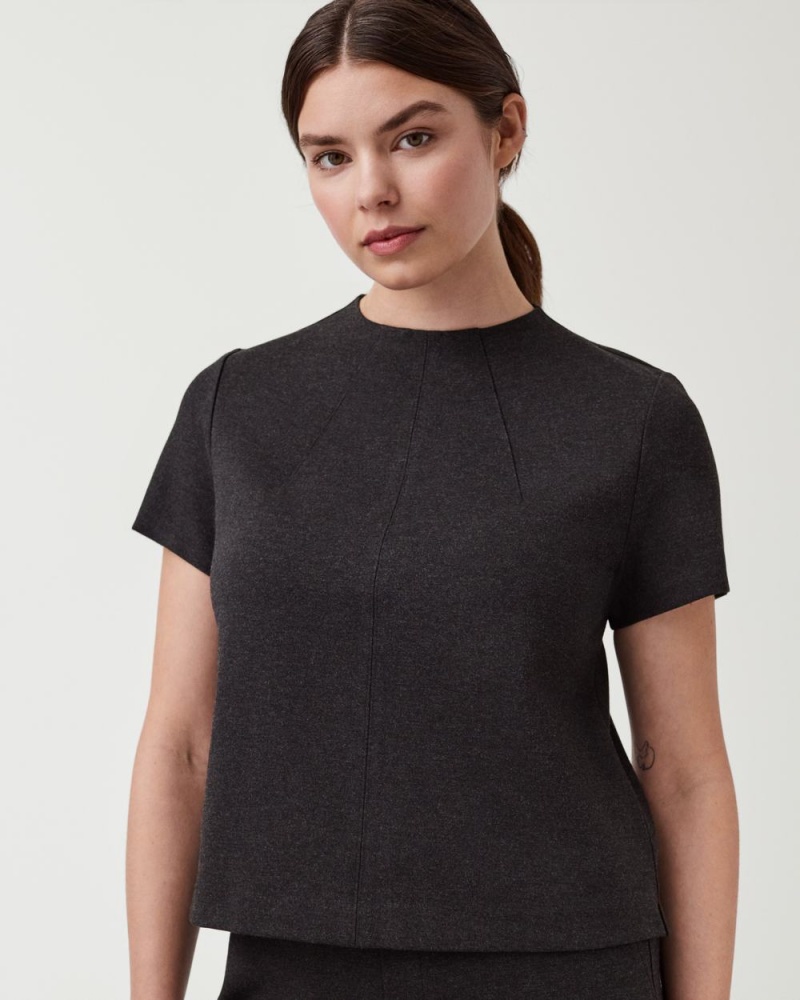 Spanx The Perfect Funnel Neck Üstler Kadın Gri | HPTSYB785